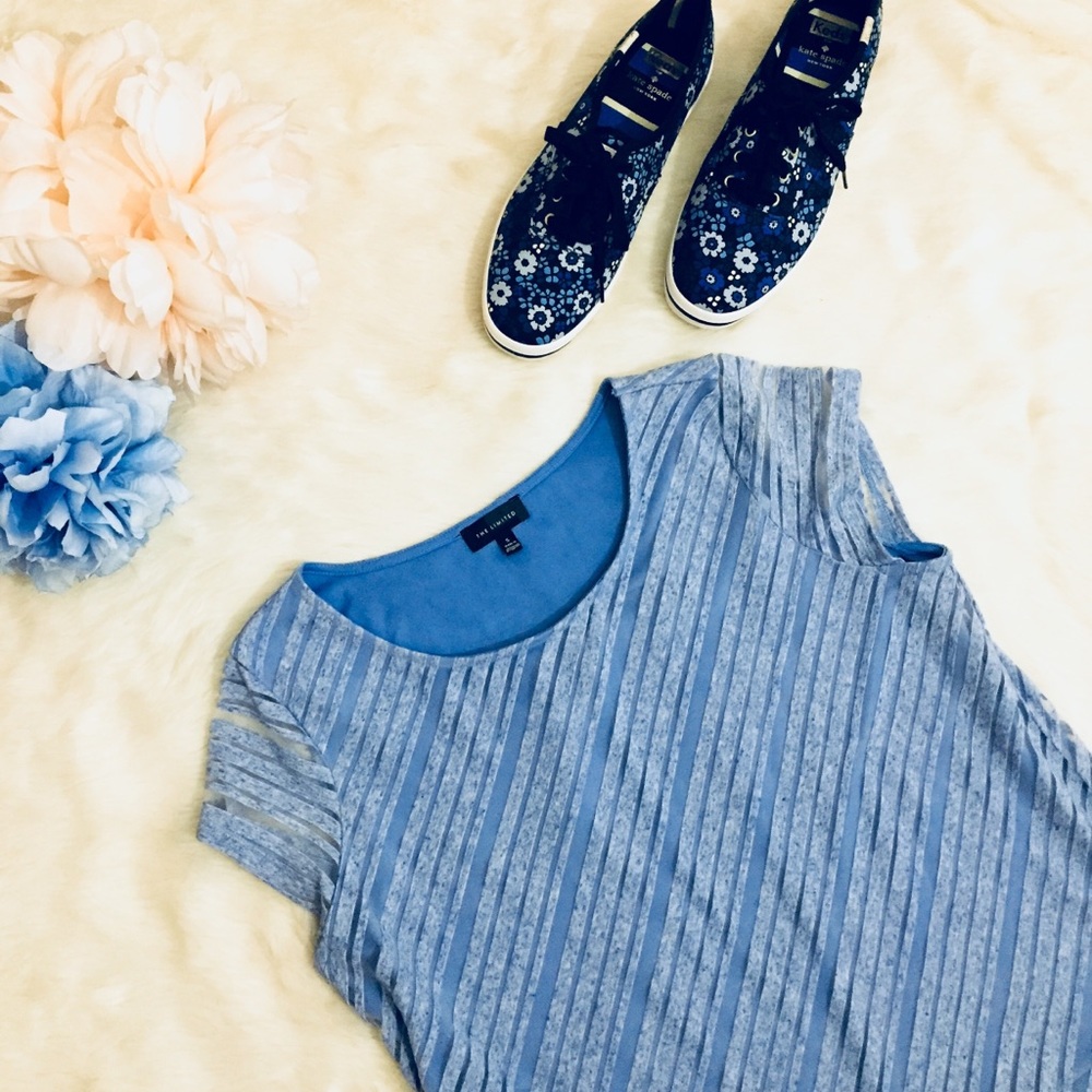 The Limited Periwinkle Stripe Sheer Layer Top Short Sleeve Pastel Blue Small